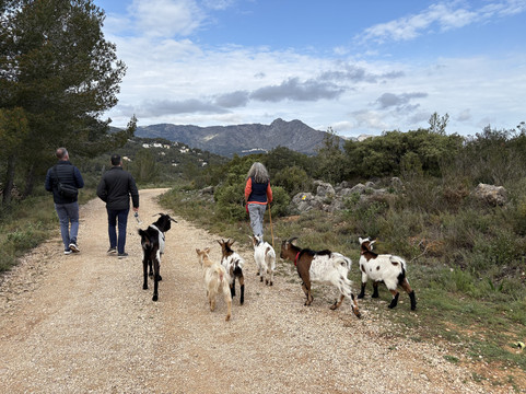 Euro Goat Trekkers-Tarbena必去景点