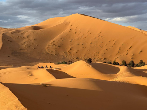 Marvelous Morocco-卡萨布兰卡必去景点