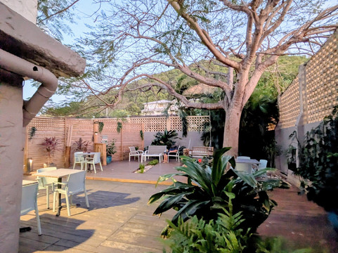 科霍-斯克姆主图