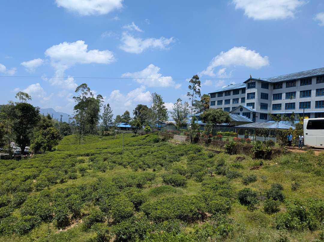 Amazing Travels & Tours Sri Lanka-科奇克德必去景点