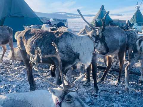 Khuvsgul Lake-哈特高必去景点