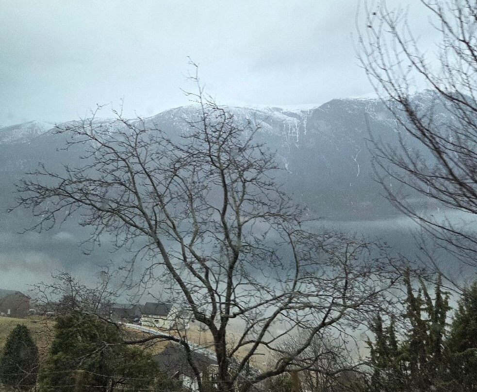 FjordSafari-弗洛姆必去景点