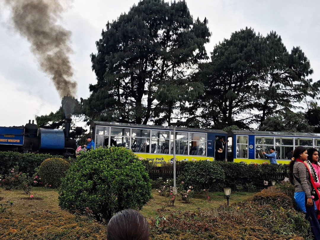 Batasia Loop-大吉岭必去景点