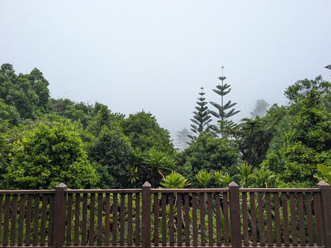 Norfolk Island National Park & Botanic Garden-诺福克岛必去景点