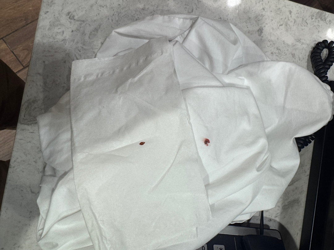 圣路易斯奥法隆万豪TownePlace套房酒店主图