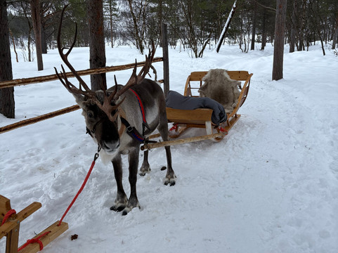 Aurora Service Tours-Utsjoki必去景点