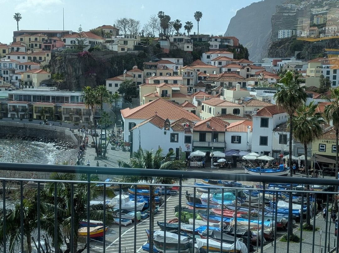 Baia de Camara de Lobos-Camara De Lobos必去景点