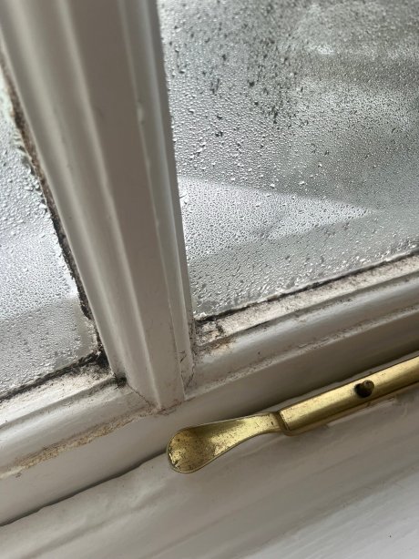 莫里特酒店-官方