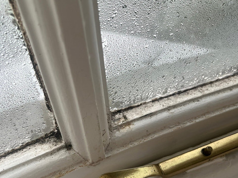 莫里特酒店主图