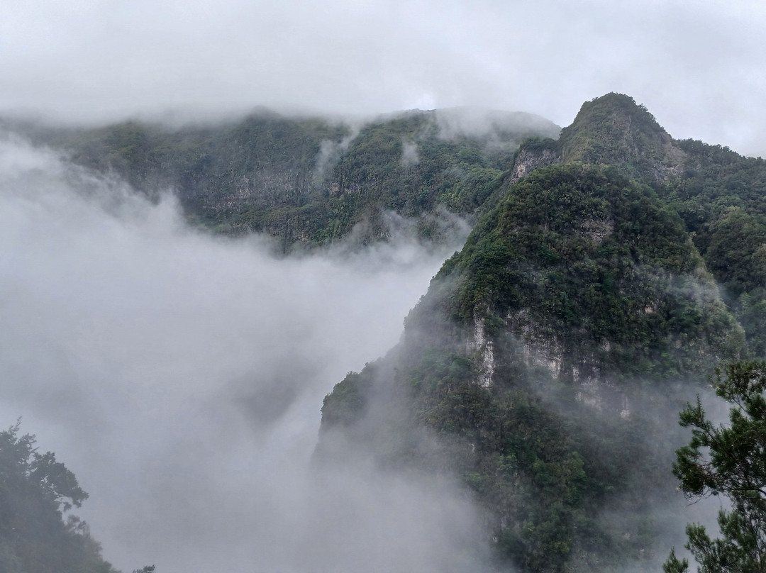 Madeira Free Spirit walks-沙尔必去景点
