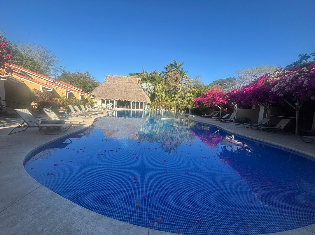 谢伊斯海滩酒店主图