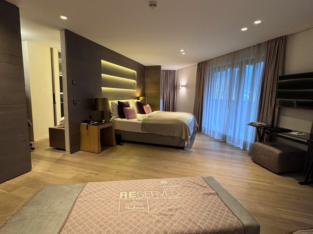 伊莉萨白尊贵私人度假酒店主图