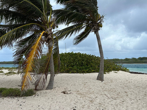 Miami Vice-Saint Francois必去景点