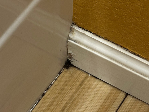 卡拉马祖万豪TownePlace酒店主图