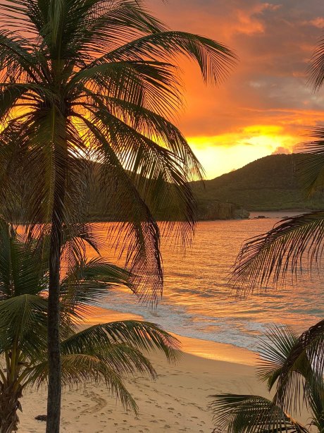 Curtain Bluff-官方