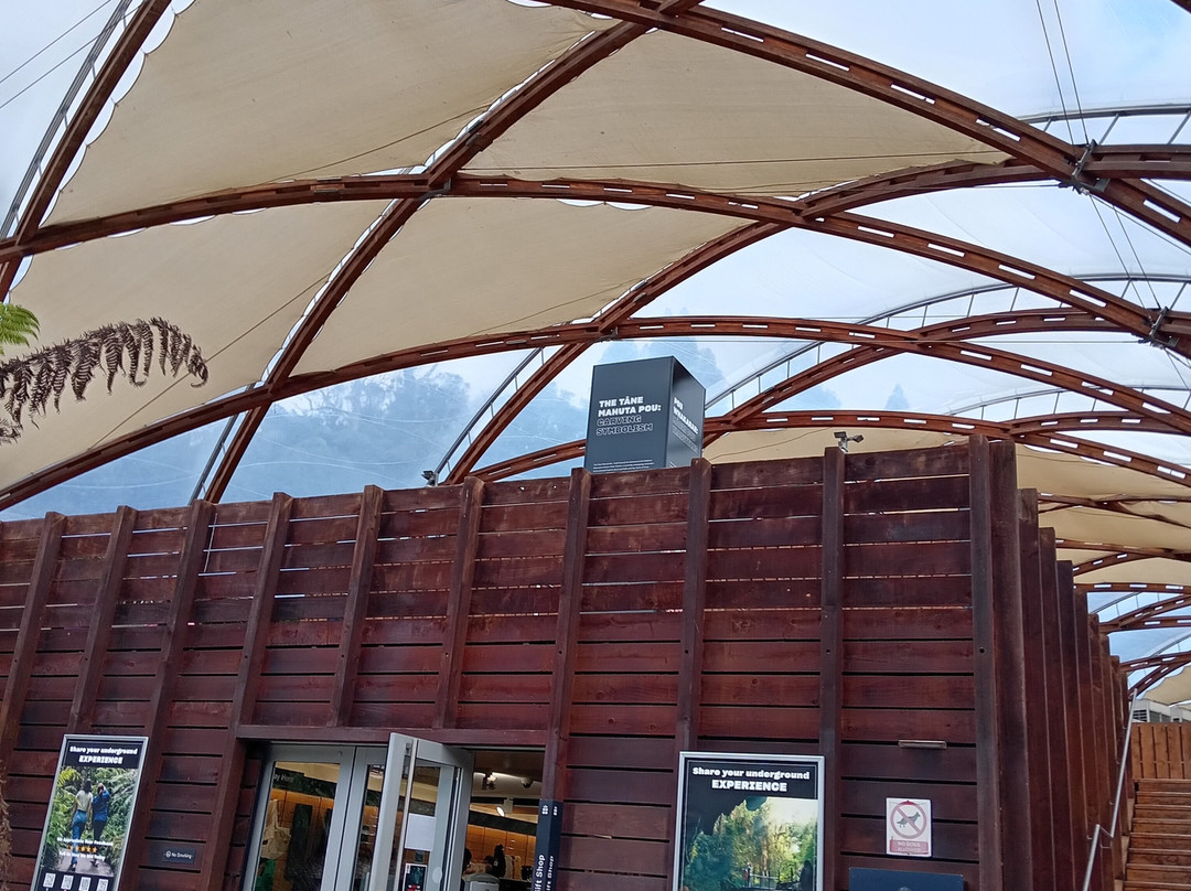 Waitomo Caves isite Visitor Information Centre-怀托摩洞穴必去景点