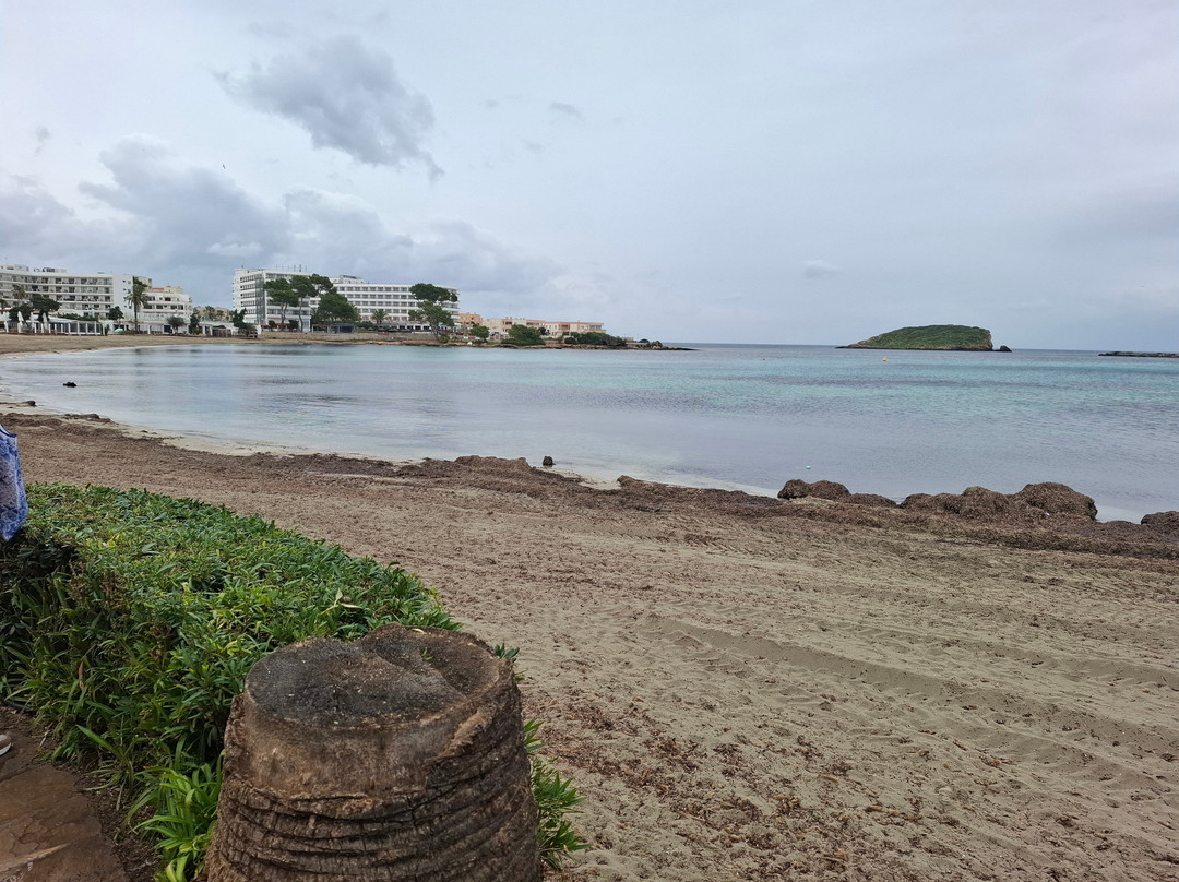 Playa de Es Canar-埃斯卡纳尔必去景点