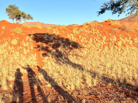 Tok Tokkie Hiking Trails-NamibRand Nature Reserve必去景点