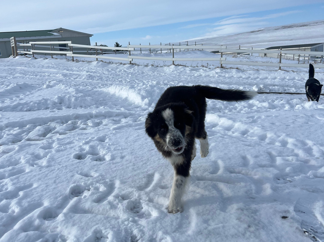 Stóra Ásgeirsá 宾馆主图