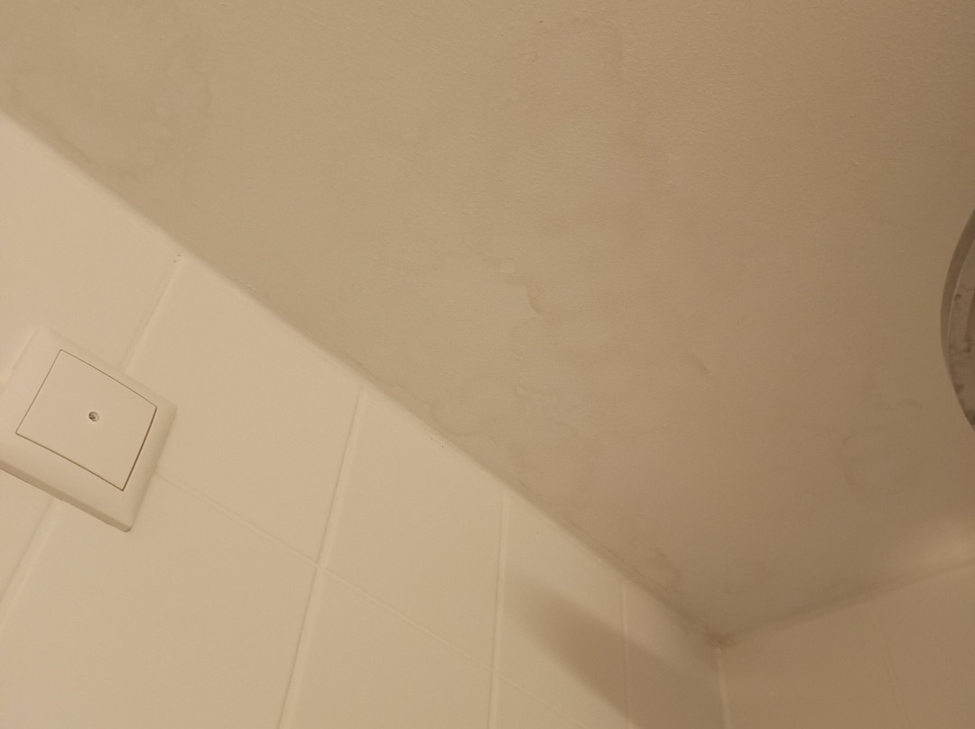 湖边Spa酒店主图