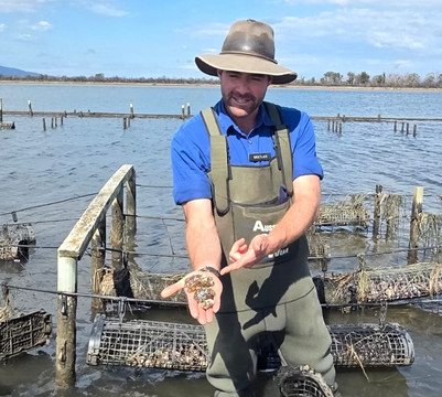 Oyster Bay Tours-科尔斯湾必去景点