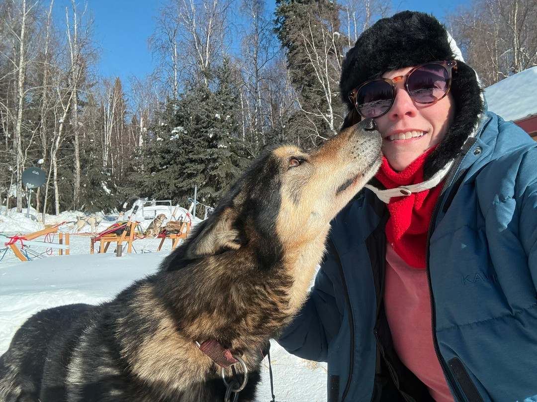 Cotter's Sled Dog Tours-费尔班克斯必去景点