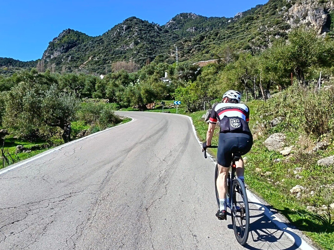 Andalucian Cycling Experience Day Trips-隆达必去景点