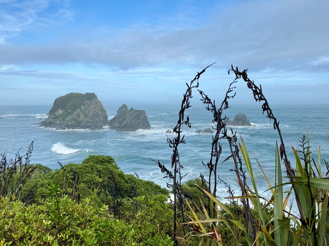 开普福尔温德角步道-韦斯特波特必去景点