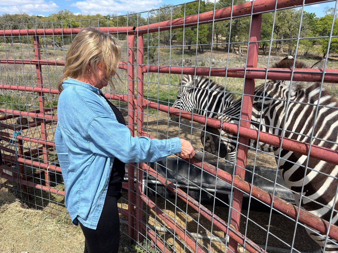 Grapetown Vineyard-弗雷德里克斯堡必去景点