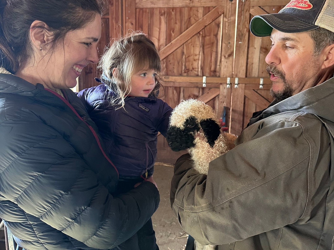 Amaro Farm-星期五港湾必去景点