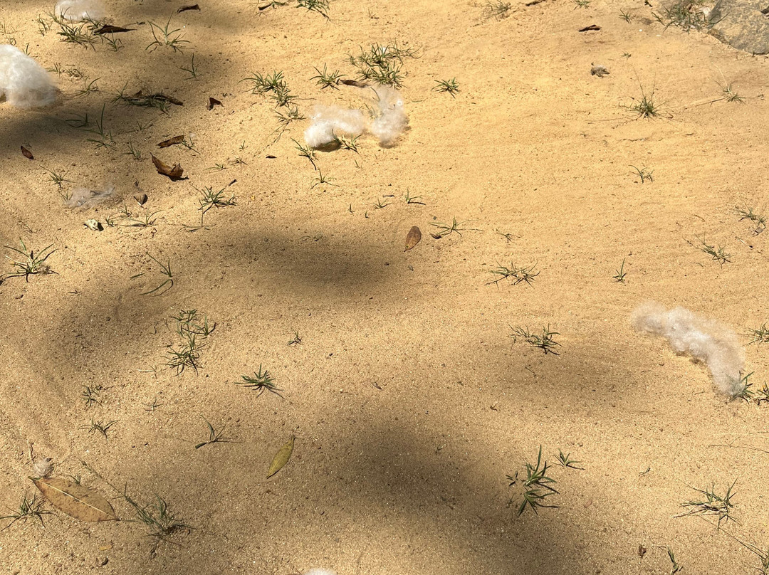 Paradise Island Safari-Gampola必去景点