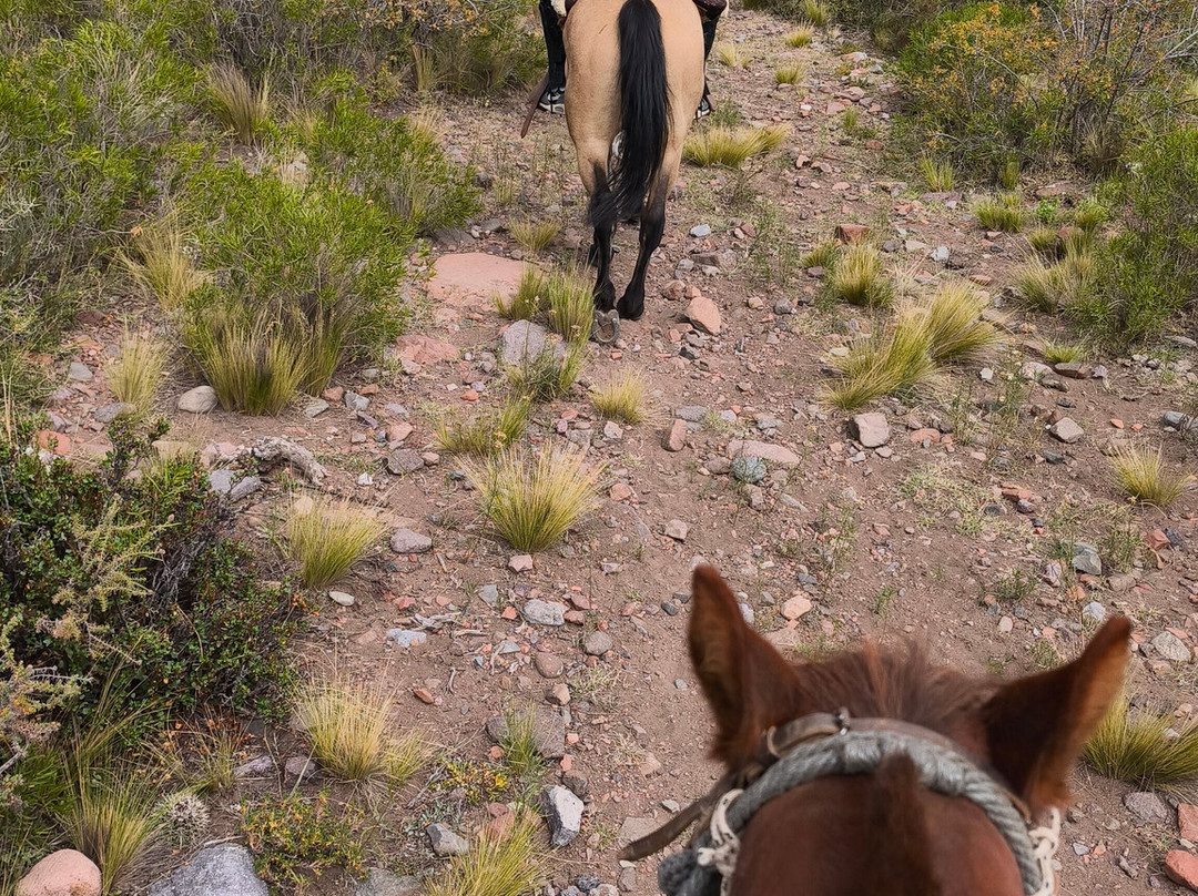 Cabalgatas Mendoza: Los Chacayes-门多萨必去景点