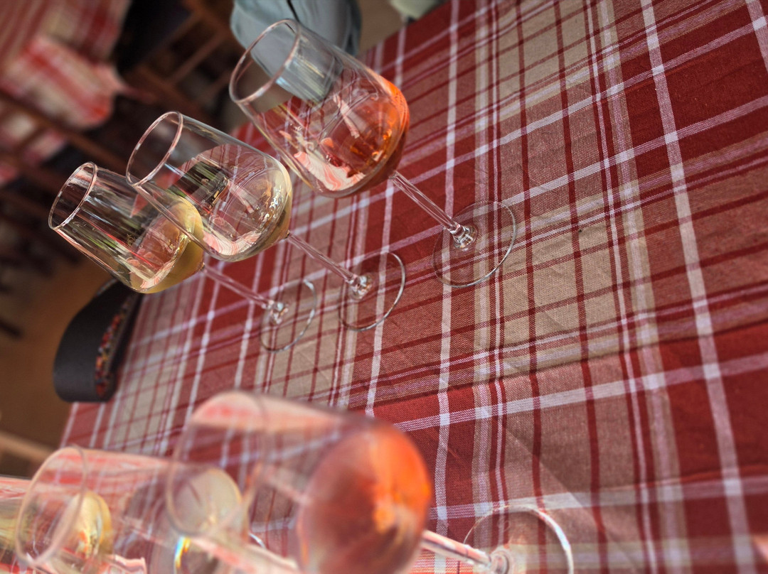 Winery Botaro-杜布罗夫尼克必去景点