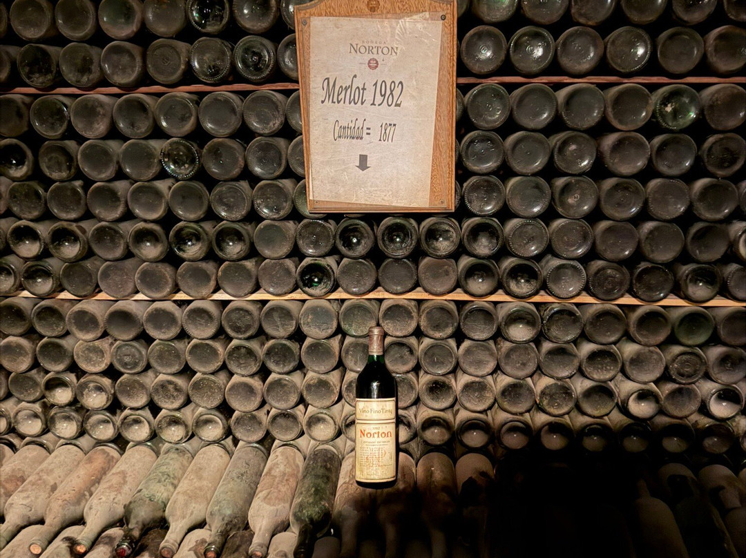 Bodega Norton-路冉得库约必去景点