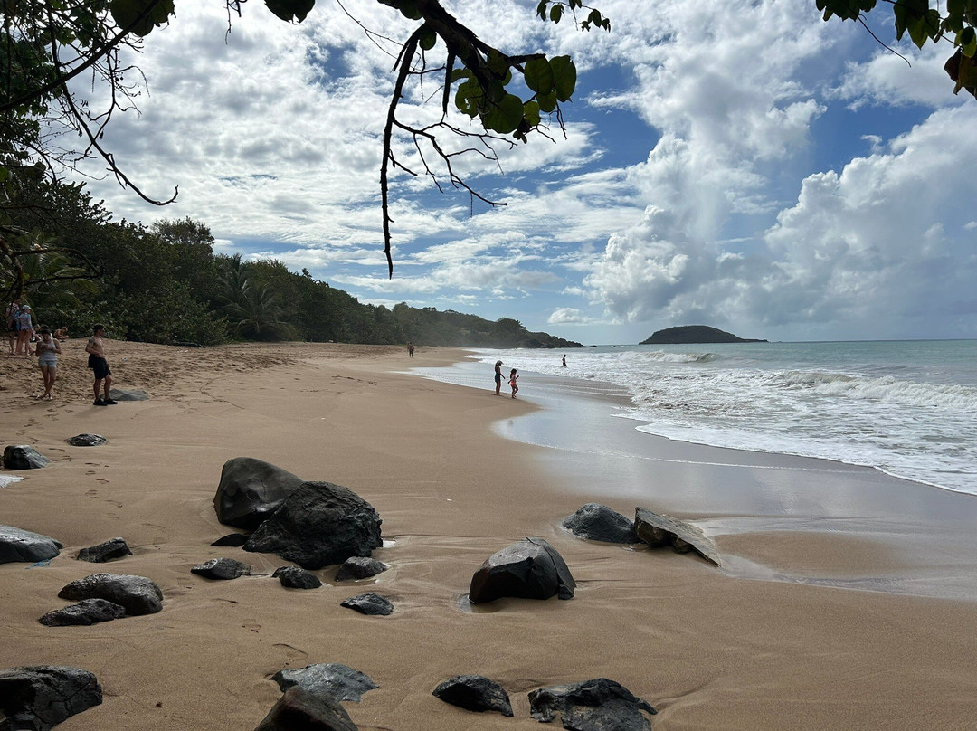 Plage Cluny-Sainte Rose必去景点