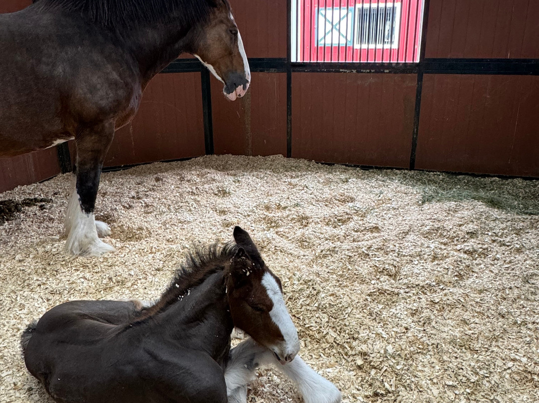 Warm Springs Ranch-Boonville必去景点
