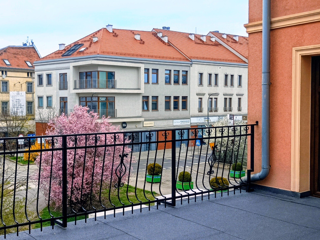 卡米尼兹卡酒店主图