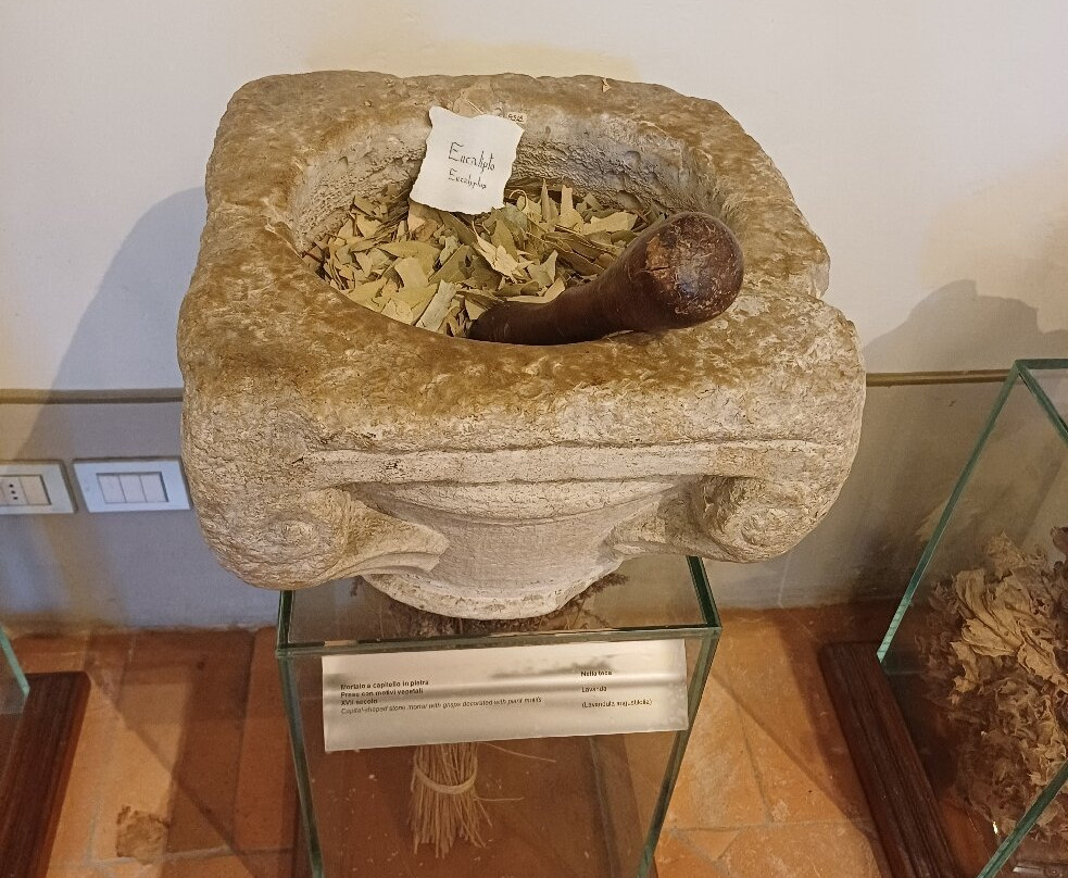 Aboca Museum-圣塞波尔克罗必去景点