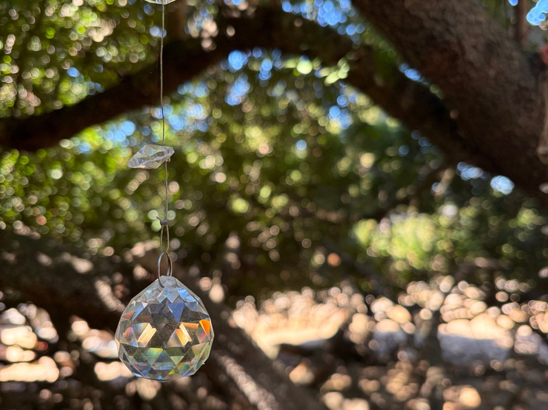 Rifugio Domo Mea-Olmedo必去景点