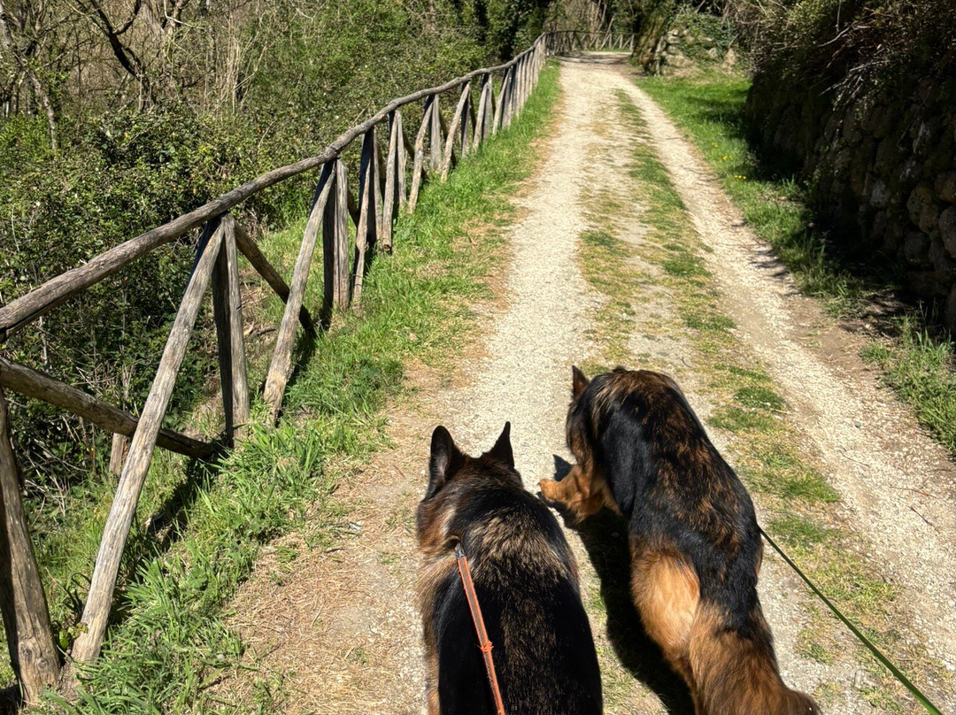 Insediamento rupestre di Vitozza-Sorano必去景点