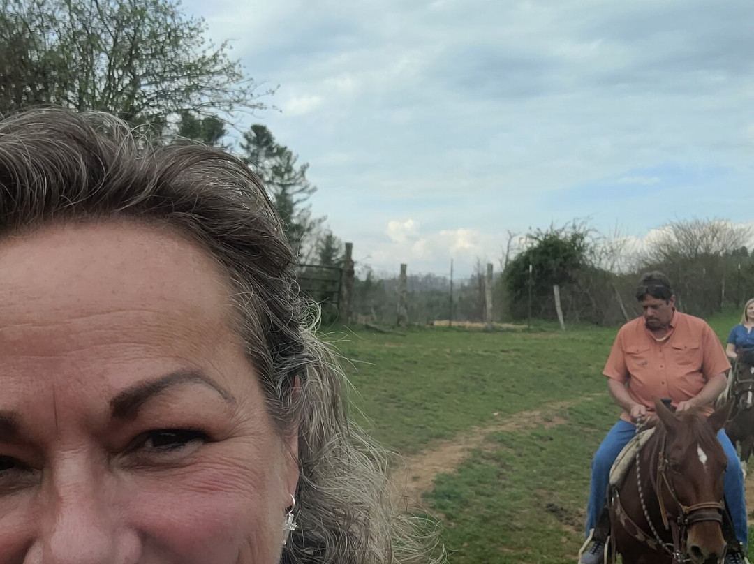 Smoky Mountain Trail Rides and Bison Farm-Marshall必去景点