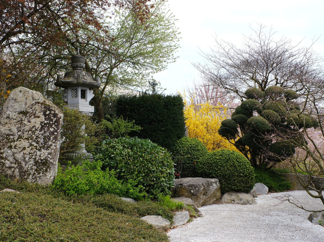 Japanischer Garten-佛莱堡必去景点