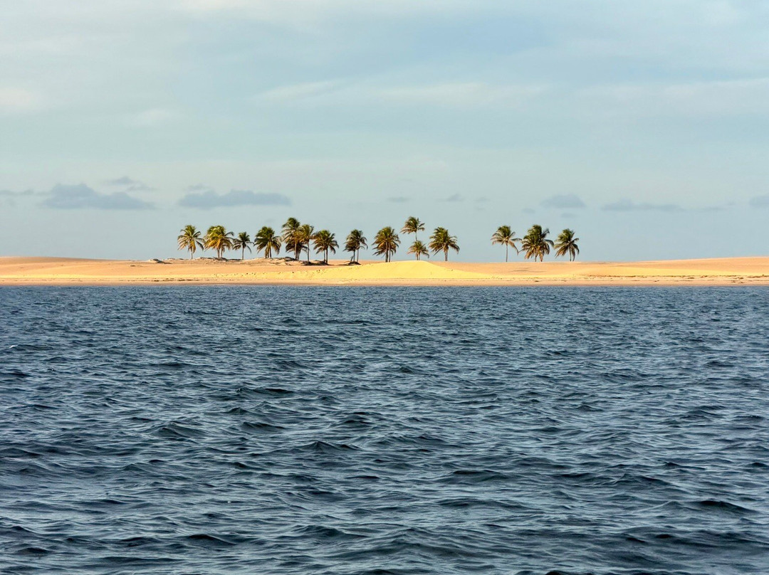 Farol da Foz Ecoturismo-Piacabucu必去景点