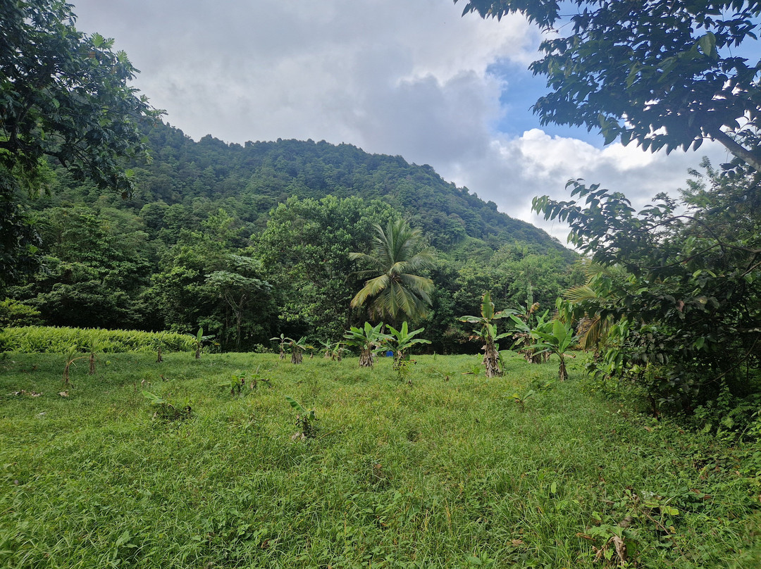 Sari-Sari Waterfall-多米尼克必去景点