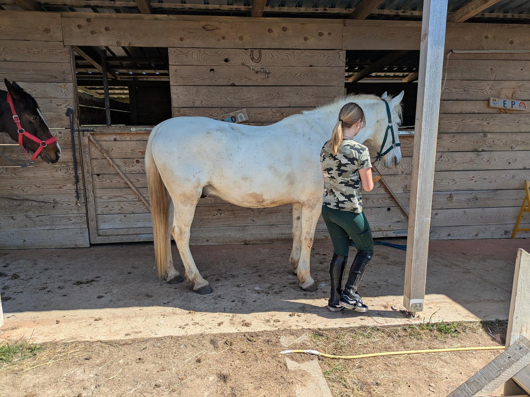 Unicorn Stable Škabrnja-Skabrnja必去景点
