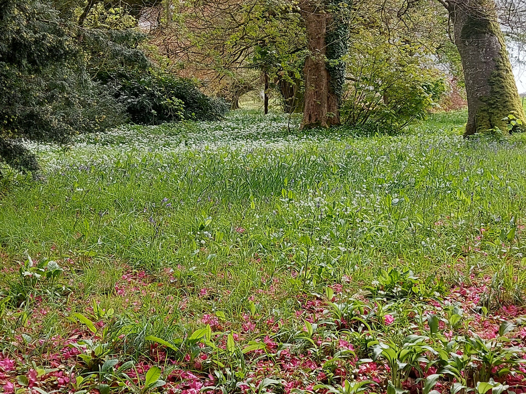 Pencarrow House and Gardens-Washaway必去景点