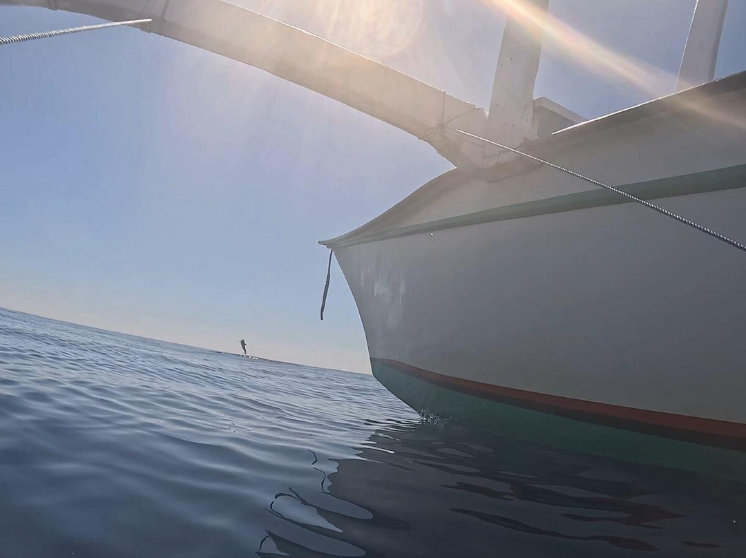 dolphin Lovina tours-罗威那海滩必去景点