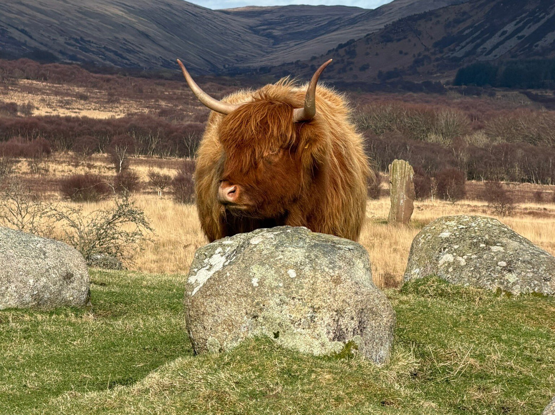 The Kilted Guide-爱丁堡必去景点