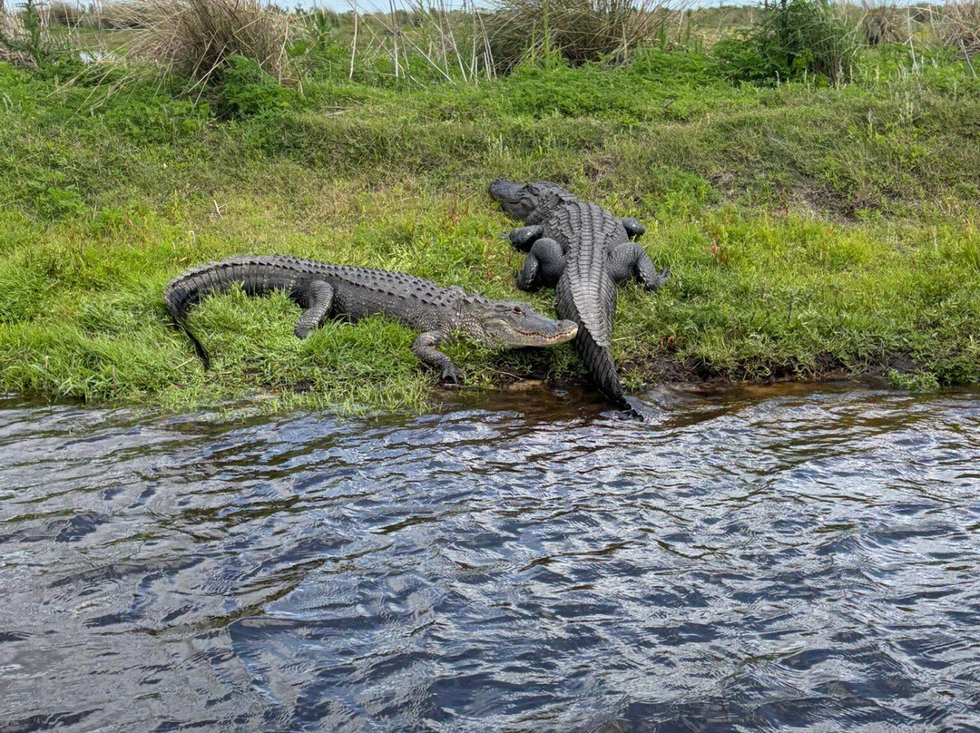 A-Awesome Airboat Rides-Christmas必去景点
