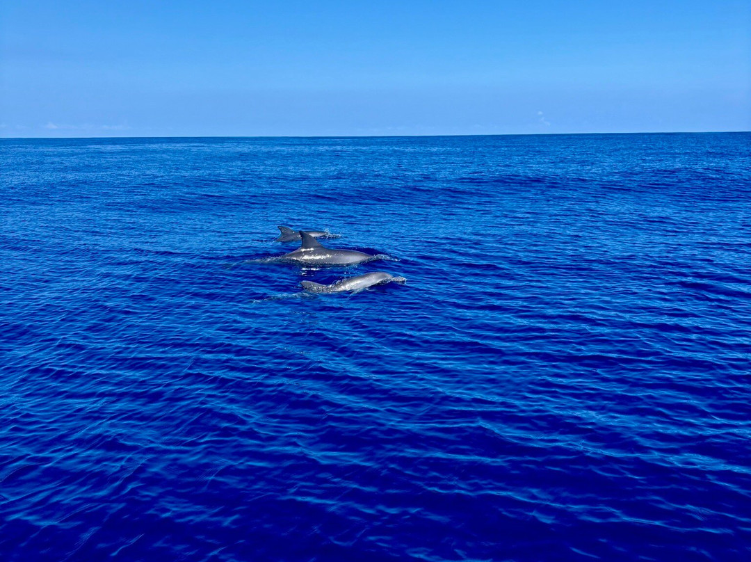 Bato Pei-圣吉尔莱班必去景点
